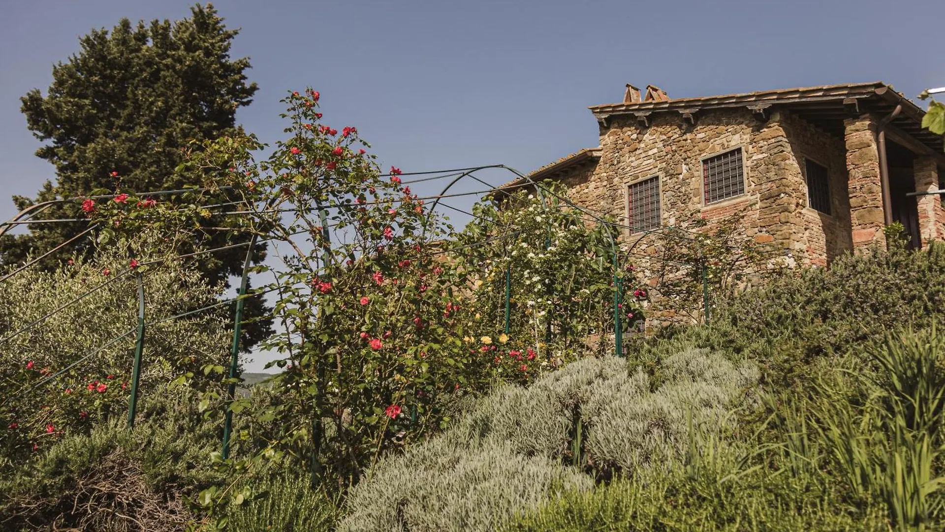 La Veronica Exclusive Chianti Resort Greve in Chianti